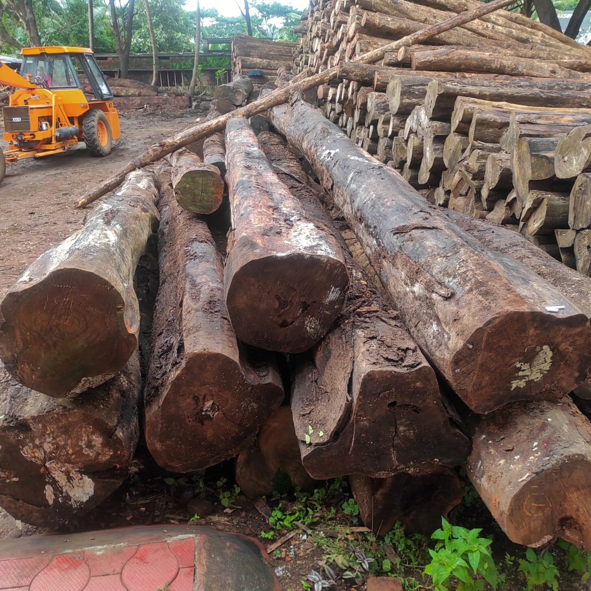 Chadachi logs
