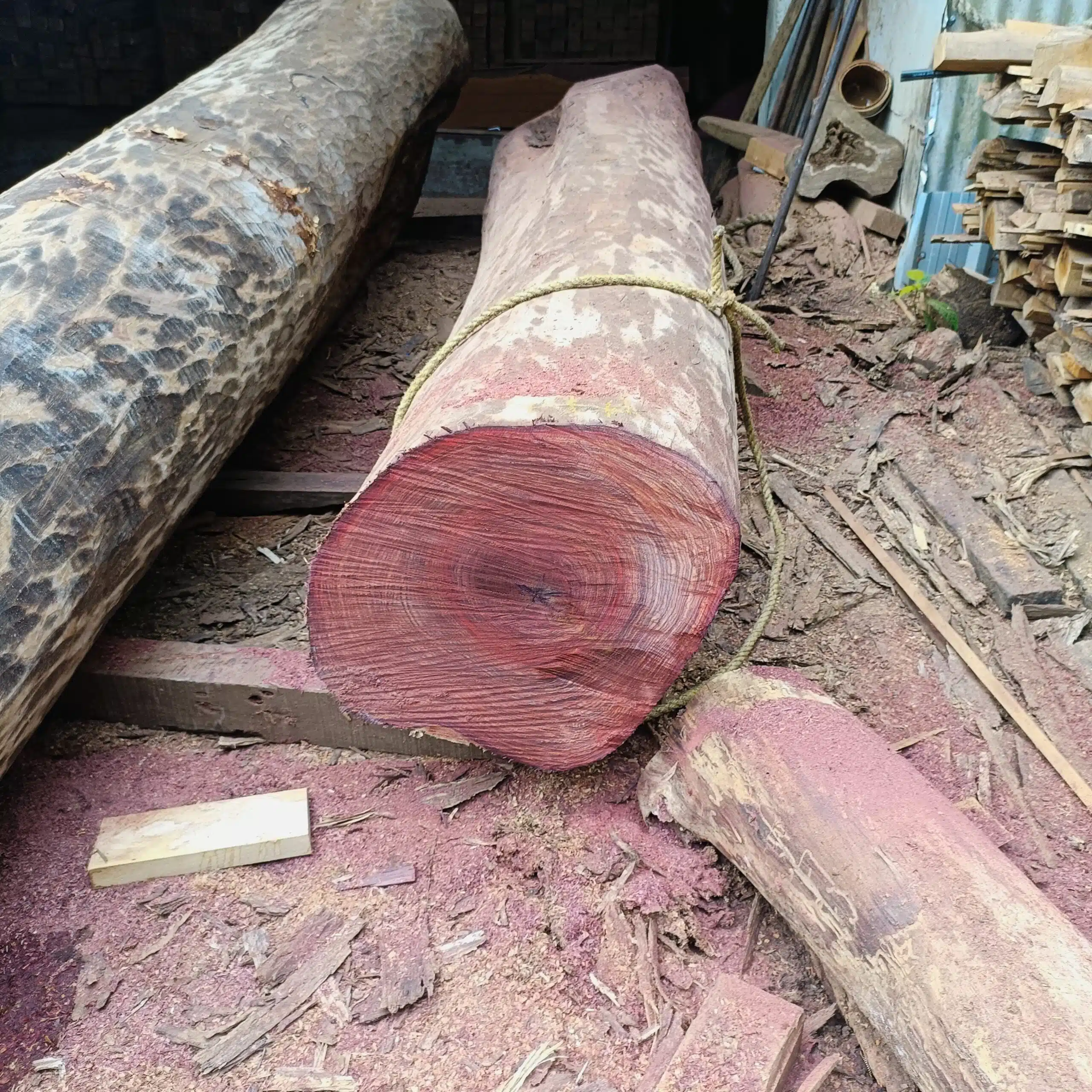 Rosewood logs-Top Quality - Image 4