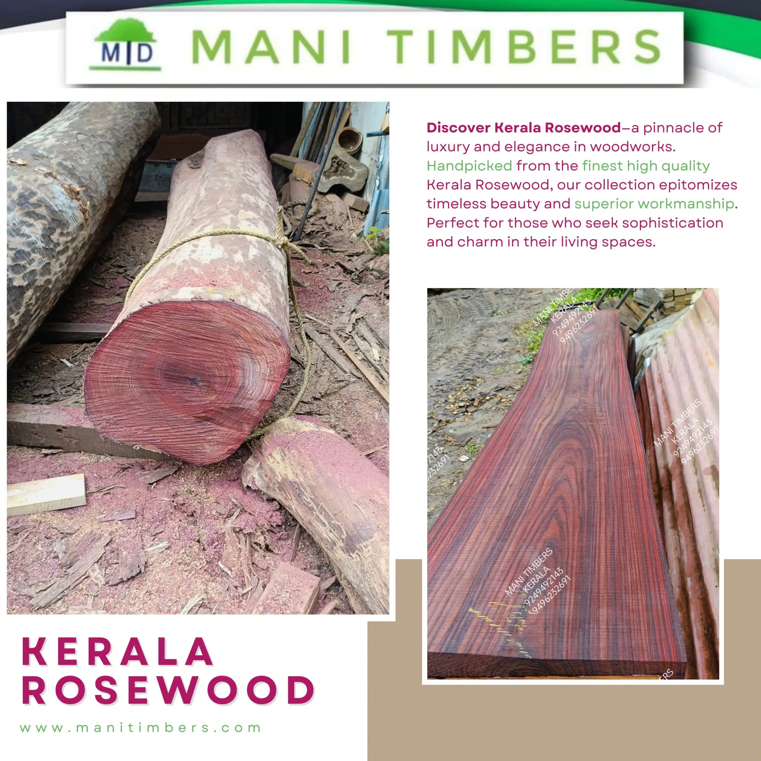 Rosewood logs-Top Quality - Image 2